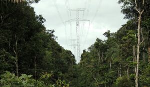Linhão Manaus-Boa Vista A Energia Deve Ficar Mais Barato Em Todo O País 13 de fevereiro de 2020
