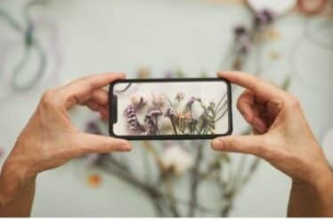 4 aplicaciones para identificar plantas por fotos