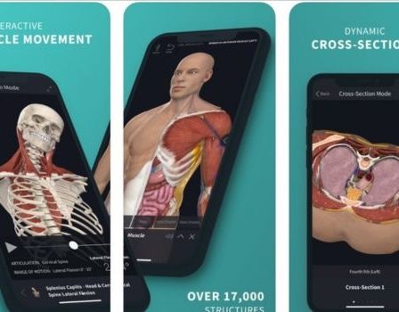 Apps sobre anatomia humana