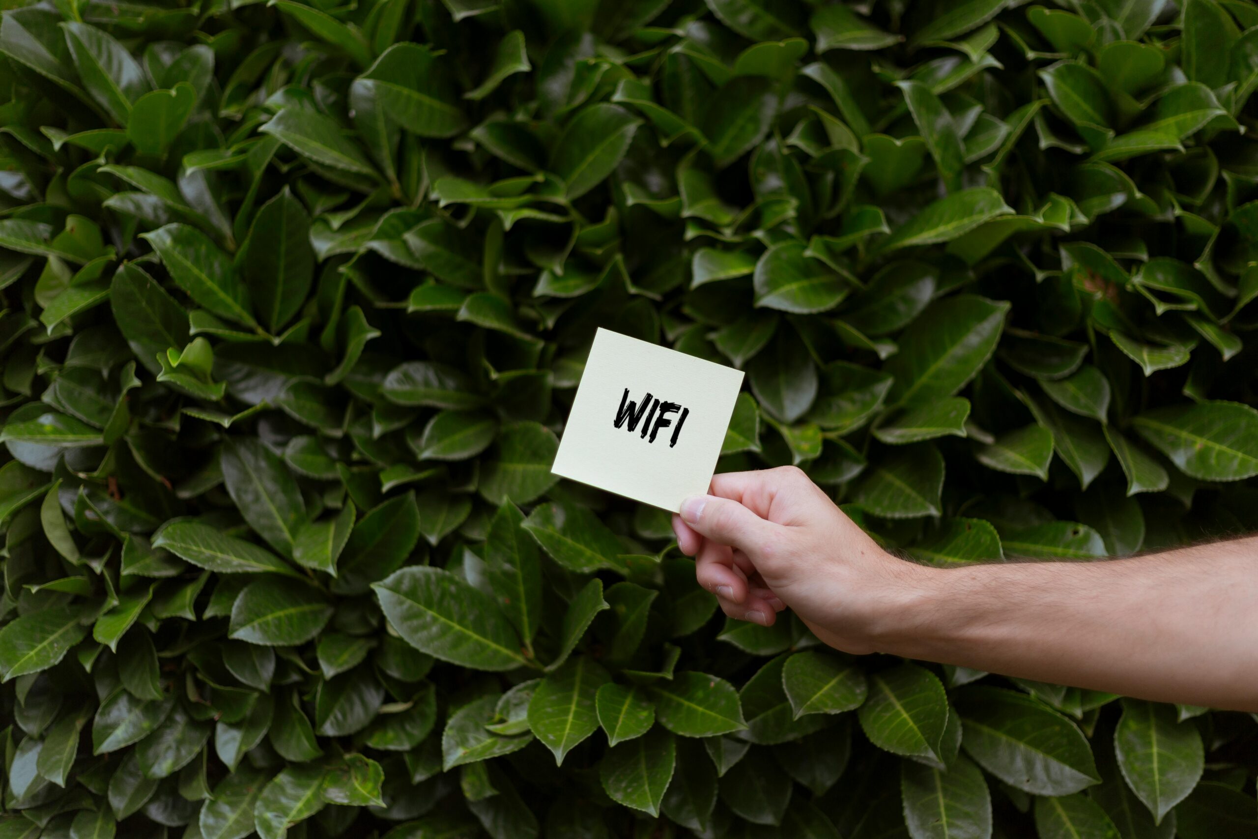 WiFi Grátis em Todo Lugar